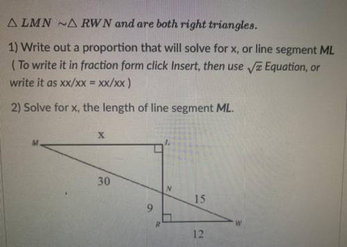 Geometry 
Please help asap!