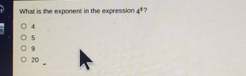 Wat is the exponent in the expression 4*?