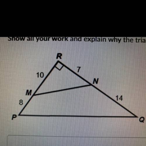 Show all your work and explain why the triangles are similar or why they are not.