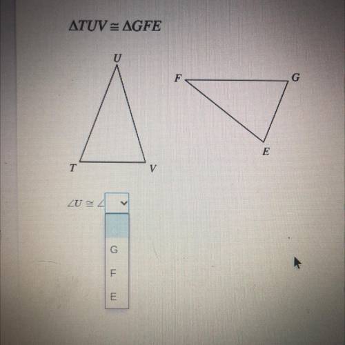 Please help me!! I need the answer ASAP