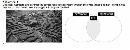 What are the living things and non- living things

that are present in a typical Philippine rice f