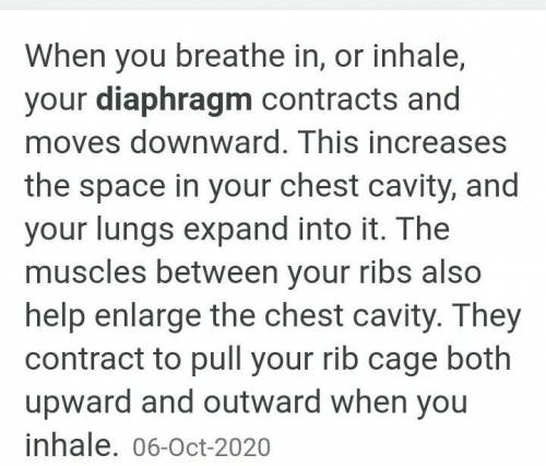 What is the mechanism of inhalation ​