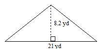 Find the area of the triangle.