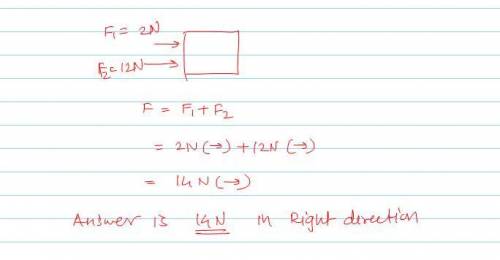 Please calculate the net forces acting on the object. 1 point for the correct 2 points

answer, and