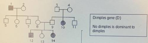 What is the genotype of individual 1-3 and 1-4?

Circle- Female 
Square- Male
Please help!