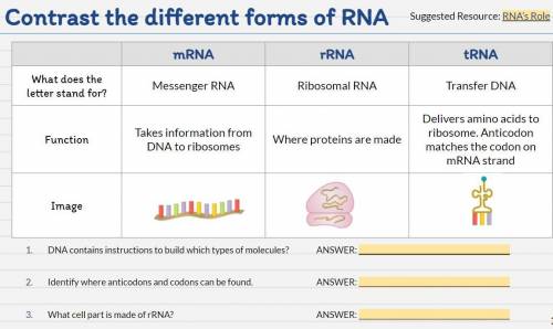 Please Help! This is about Different forms of RNA.
