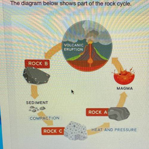Which type of rock does B represent?

Igneous rock
Metamorphic rock_
Rock formed by compaction
Ro