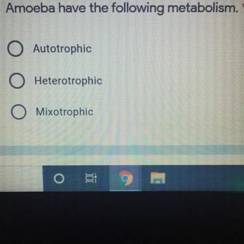 Amoeba have the following metabolism.
A. Autotrophic