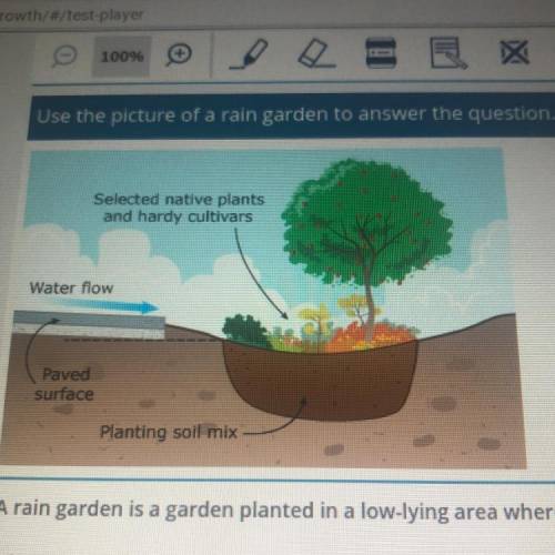 A rain garden is a garden planted in a low-lying area where water tends to collect.
 

What benefit