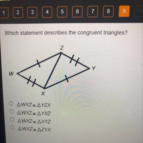 Which statement describes the congruent triangles