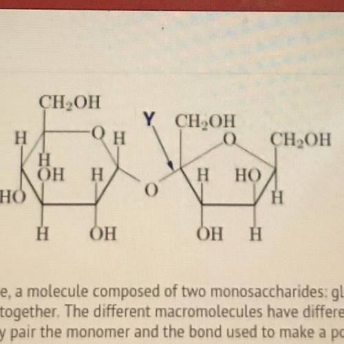 This is a picture of sucrose, a disaccharide, a molecule composed of two monosaccharides: glucose
