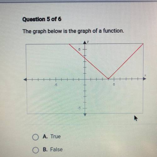 The graph below is the graph of a function. 
True or False??