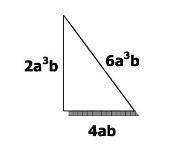 Can you please find the are of this triangle? Thank you!
