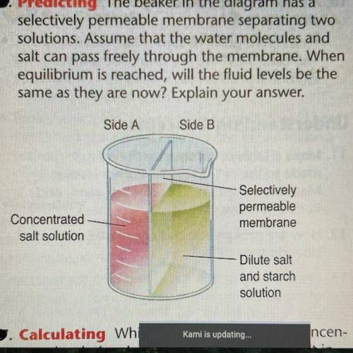 Predicting The beaker in the diagram has a

selectively permeable membrane separating two
solution