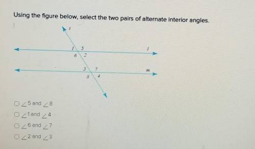 Plz help, the picture is my question​