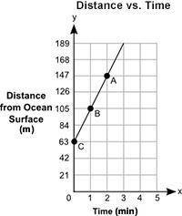 A marine mammal was studied and its depth from the ocean surface was measured in meters, y, and was