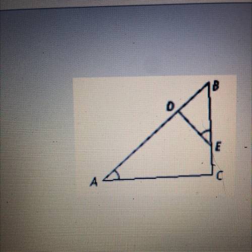 Please help me

If the triangle are similar, write a similarity
statement and tell whether you wou