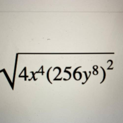 How do I solve? Or what is the answer for this?