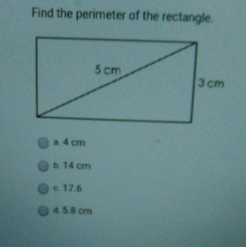Find the perimeter of the rectangle​