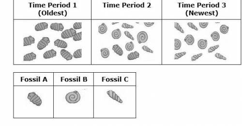 Use the information and the tables to answer the following question.

The tables show fossil evide