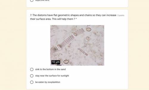 The diatoms have flat geometric shapes and chains so they can increase their surface area. This wil