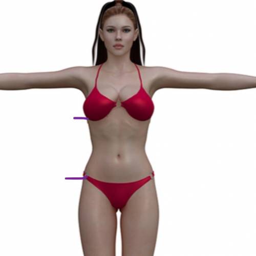 How long (in inches) is a 5’5 females abdomen. Starting from below her breast. to the hip bone.

L