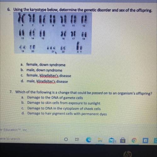 Using the karyotype below, determine the genetic disorder and sex of the offspring.

10
11
12
8
14