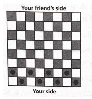 Your friend arrives and placed pieces appropriately on the board. What percent of the checker board