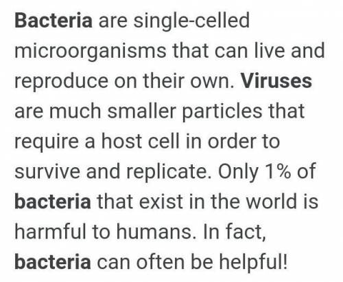 Distinguish between l-form bacteria and bacteria​