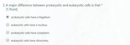A major difference between prokaryotic and eukaryotic cells is that?