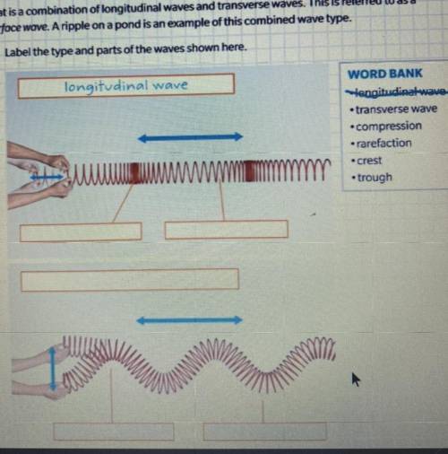8. Label the type and parts of the waves shown here.

longitudinal wave
WORD BANK
engitudinal wave