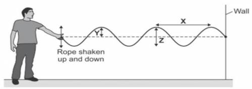 The diagram shows waves being produced on a rope. The waves are not reflected by the wall.

Which
