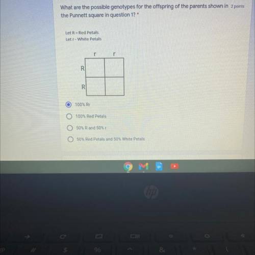 PLEASE HELP I WILL GIVE 25 POINTS (SCIENCE: PUNNETT SQUARES)