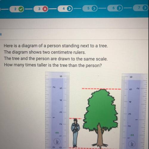 Here is a diagram of a person standing next to a tree.

The diagram shows two centimetre rulers.
T