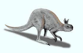 Ok, so this is what kangaroos used to look like...
Enjoy trying to sleeping tonight ;)