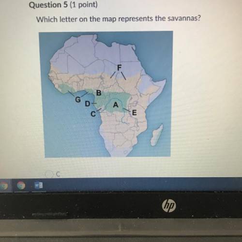 Question 5 (1 point)
Which letter on the map represents the savannas?