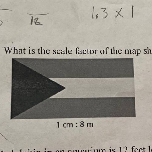 What is the scale factor of the map shown below?
1 cm: 8m