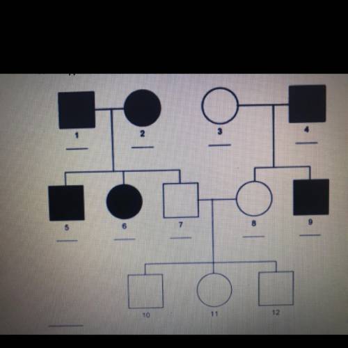 What type of inheritance is shown in the pedigree?

A. Multiple alleles 
B. Autosomal dominant 
C.