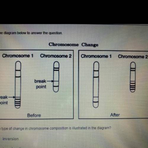 Which type of change in chromosome composition is illustrated in the diagram?