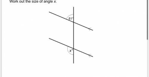 Angle is 51° what's angle x