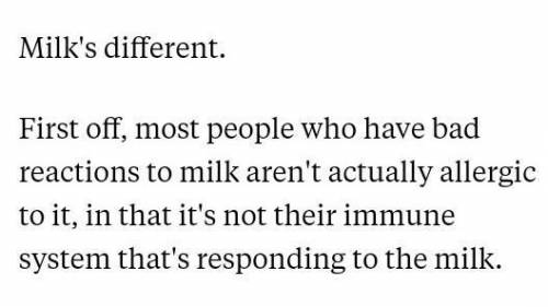 Why can’t some humans drink milk? AND How could these humans digest milk more efficiently?