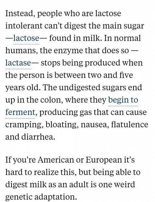 Why can’t some humans drink milk? AND How could these humans digest milk more efficiently?