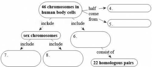 Fill in the concept map below to summarize what you know about chromosomes.