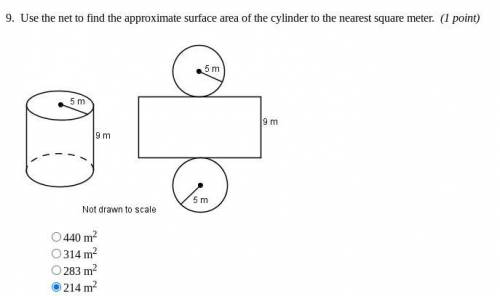Use the net to find the approximate surface area of the cylinder to nearest square meter