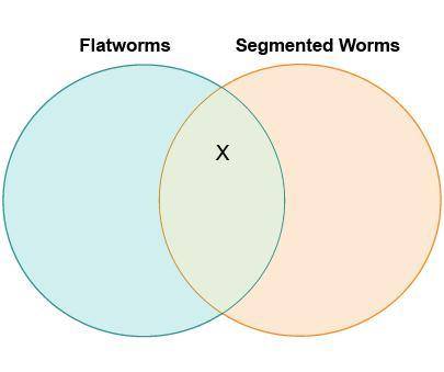 Kareem drew a diagram to compare flatworms and segmented worms.

Which label belongs in the area m