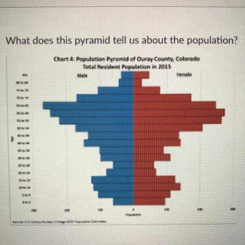 What does this pyramid tell us about the population?

The population is growing.
The population is
