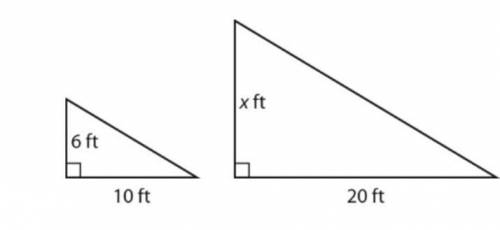 6. This figure shows two similar triangles. Which is the value of x.
A) 2
B) 4
C) 6