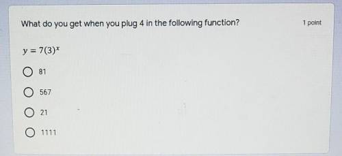 What do you get when you plug 4 in the following function?​