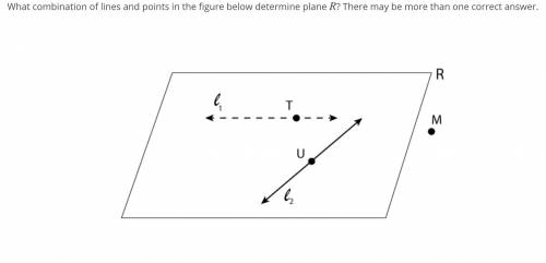 Help me Please!!! Geometry... What combination of lines and points in the figure below determine pl