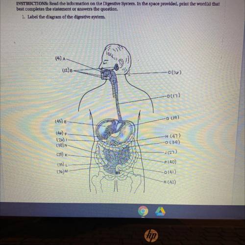 PLEASE HELP does anyone know the answers? INSTRUCTIONS: Read the information on the Digestive Syste